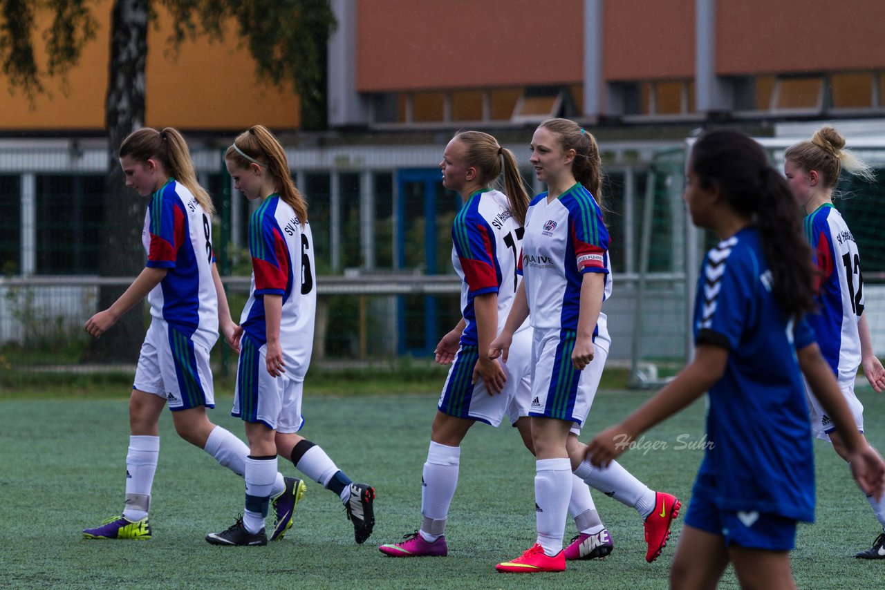 Bild 326 - B-Juniorinnen SV Henstedt Ulzburg - FSC Kaltenkirchen : Ergebnis: 3:2